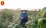 Ngày mới ở Mê Linh
